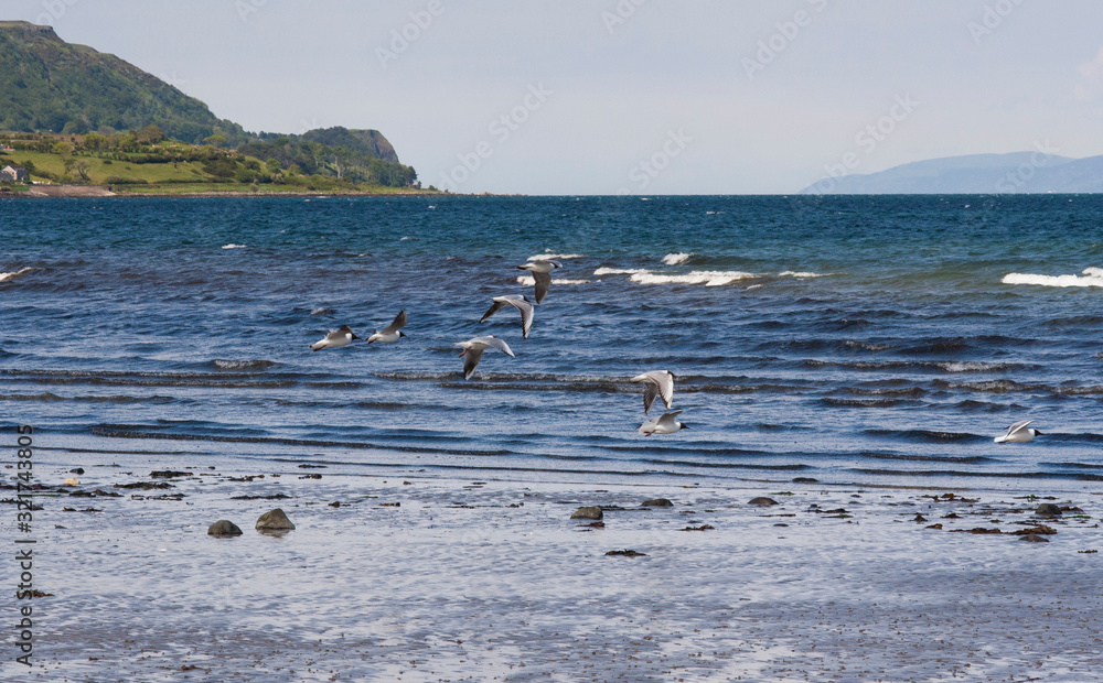 Scenic view from Carnlough beach with flying birds. Sea has several hues and shades of blue Scenic view from Carnlough beach with flying birds. Sea has several hues and shades of blue