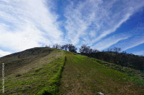 trails blue sky green grass on a trail