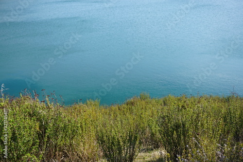 green grass blue water