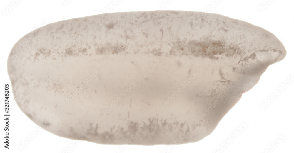 Obraz premium Single Grain of White Rice