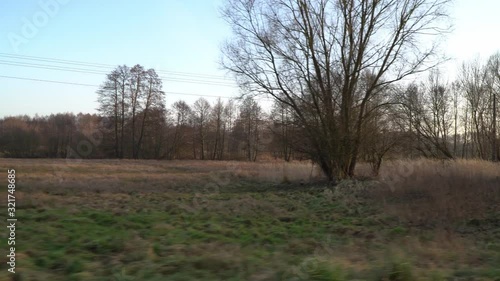 Wasteland in the old village. Dry, yellow grass on the background of the old forest