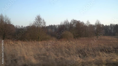 Wasteland in the old village. Dry, yellow grass on the background of the old forest
