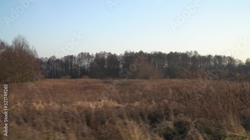 Wasteland in the old village. Dry, yellow grass on the background of the old forest