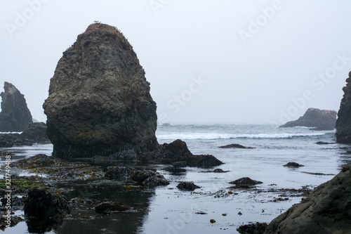 Rock cliff Low tide pools fort bragg california .