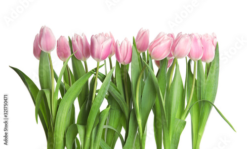 Fototapeta Naklejka Na Ścianę i Meble -  Beautiful pink spring tulips on white background