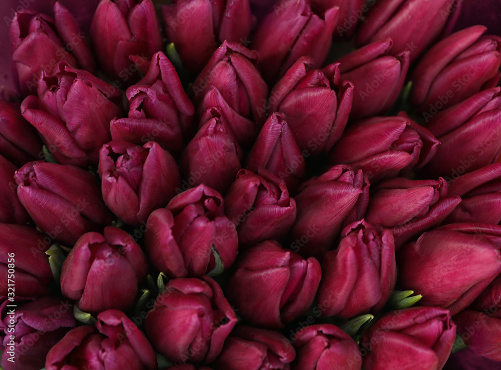 Fototapeta premium Beautiful bouquets of tulip flowers, top view. Floral decor