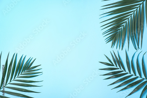 Beautiful lush tropical leaves on light blue background. Space for text