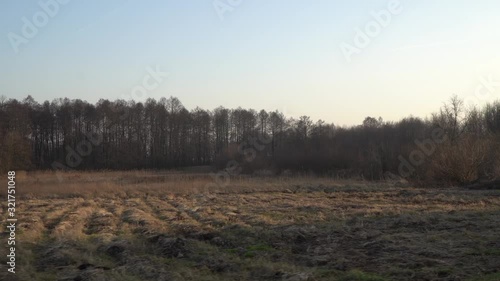 Wasteland in the old village. Dry, yellow grass on the background of the old forest