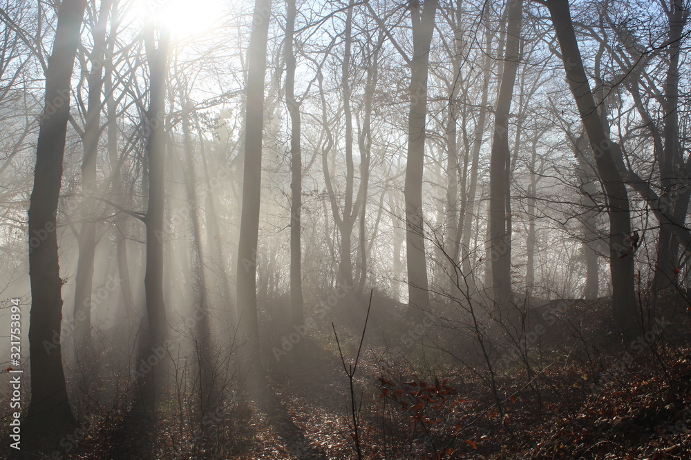 Obraz premium Winter starts