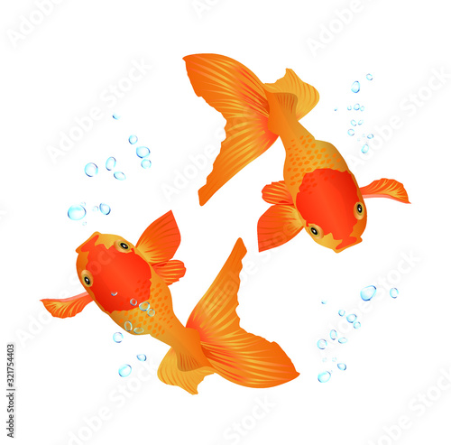 Stock Illustration: goldfish, multicolored, swim happily