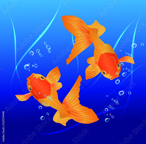 Stock Illustration: goldfish, multicolored, swim happily