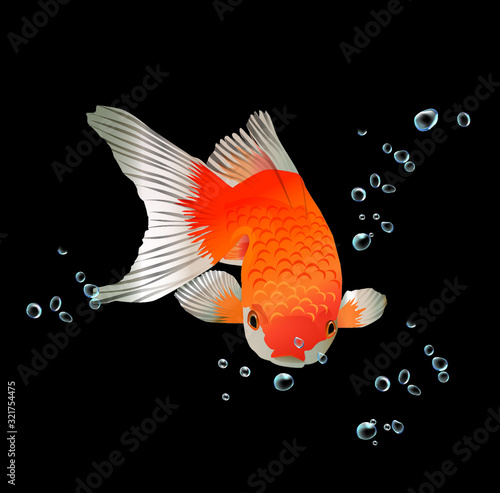Stock Illustration: goldfish, multicolored, swim happily
