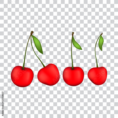 Fototapeta Set of cherry berries, vector illustration.