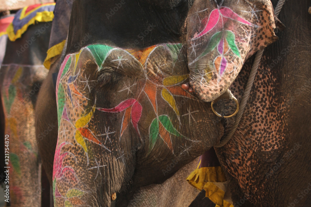 Obraz premium Bemalter Elefant in Indien 