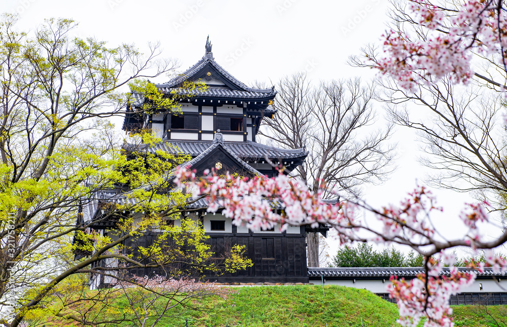 Fototapeta premium Takada Castle with Sakura Tree in Spring at Takada Castle Ruins Park, Joetsu, Niigata, Japan