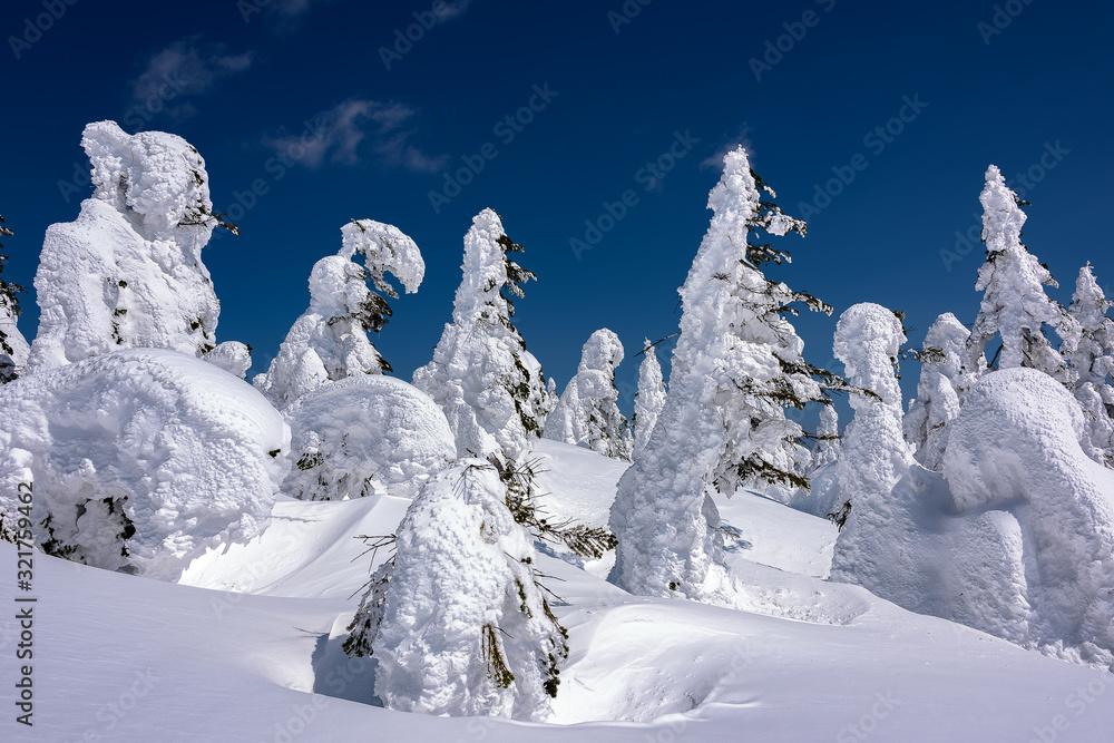 Yamagata frozen forest with snow monsters (frozen trees called juhyo)