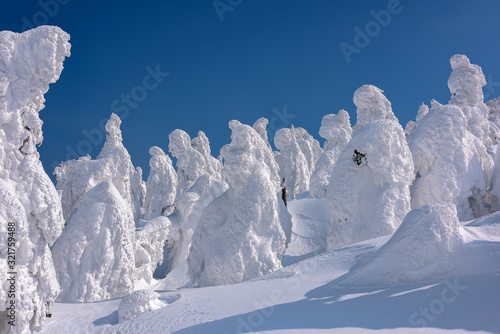Yamagata frozen forest with snow monsters (frozen trees called juhyo)