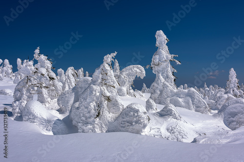 Wallpaper Mural Yamagata frozen forest with snow monsters (frozen trees called juhyo) Torontodigital.ca