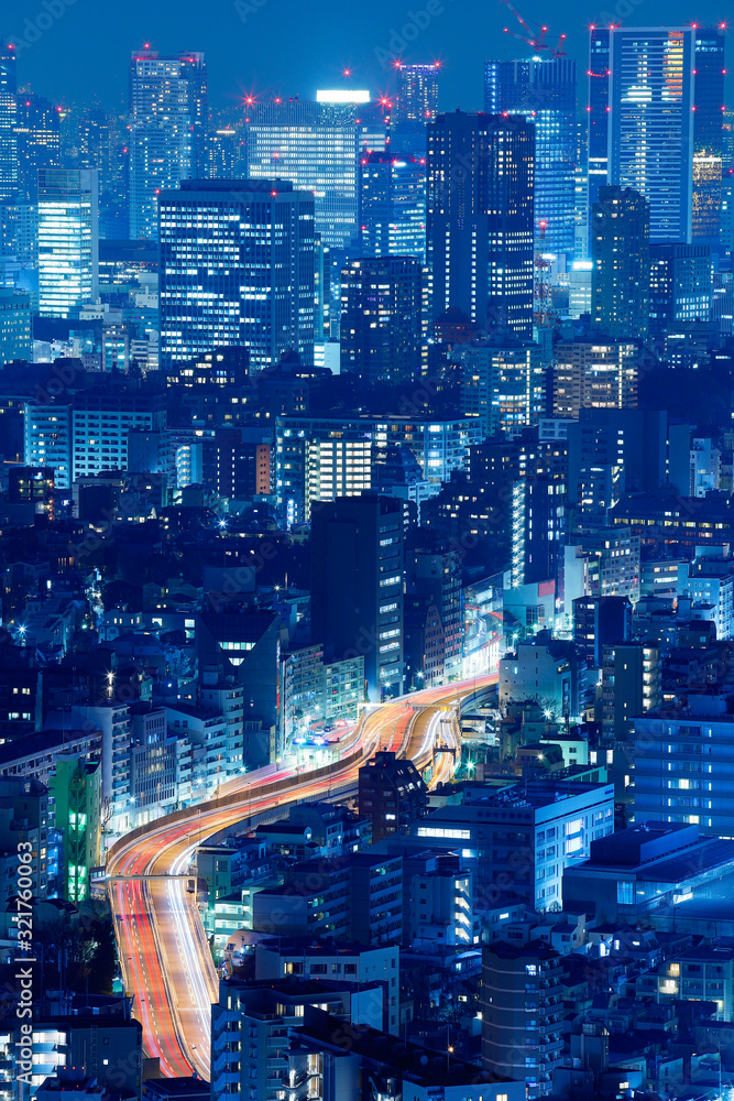 光が溢れる東京の夜景 光が溢れる東京の夜景