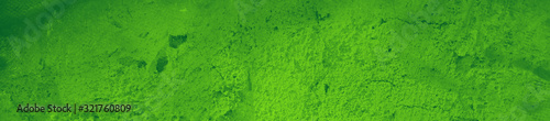 abstract green bright color background for design © Tamara