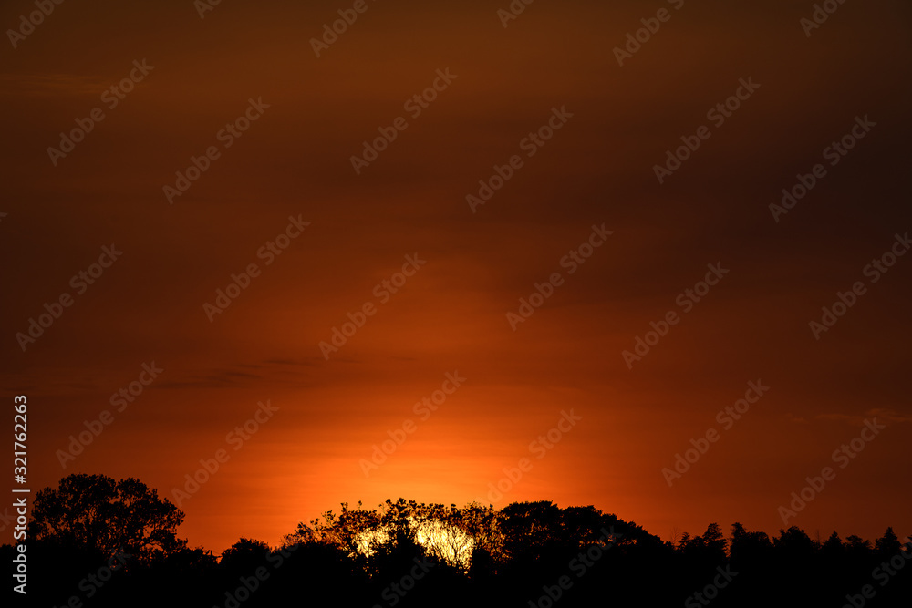 sun falling down behind the forest at sunset