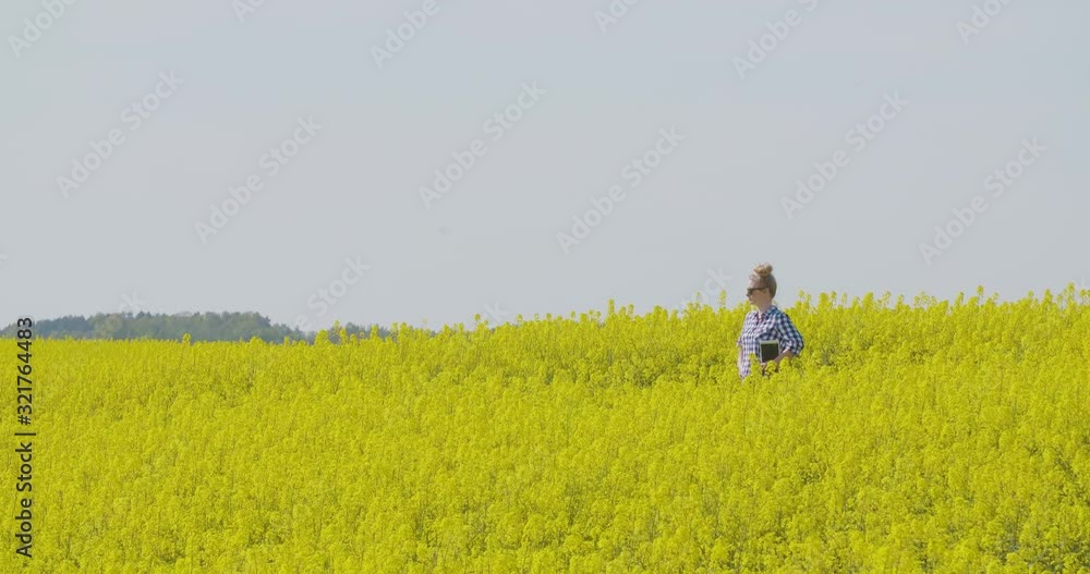 Farmer Examining Oil Seed Canola Field Farmer Examining Oil Seed Canola Field