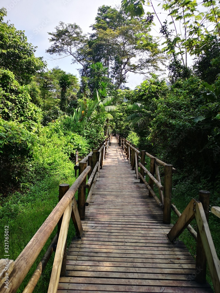 Fototapeta premium wooden bridge in forest