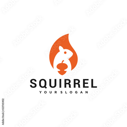 squirrel illutration vector logo design