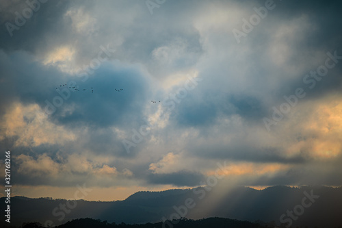 View of Landscape  ©  Akihito Kariya