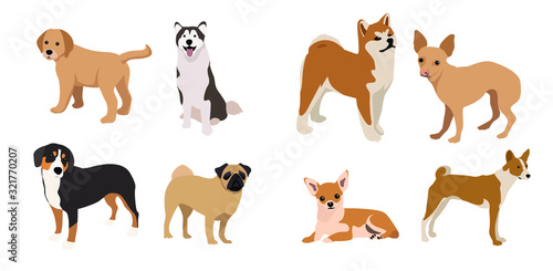 Dogs collection. Set of dogs. Vector illustration of funny cartoon. Isolated on white