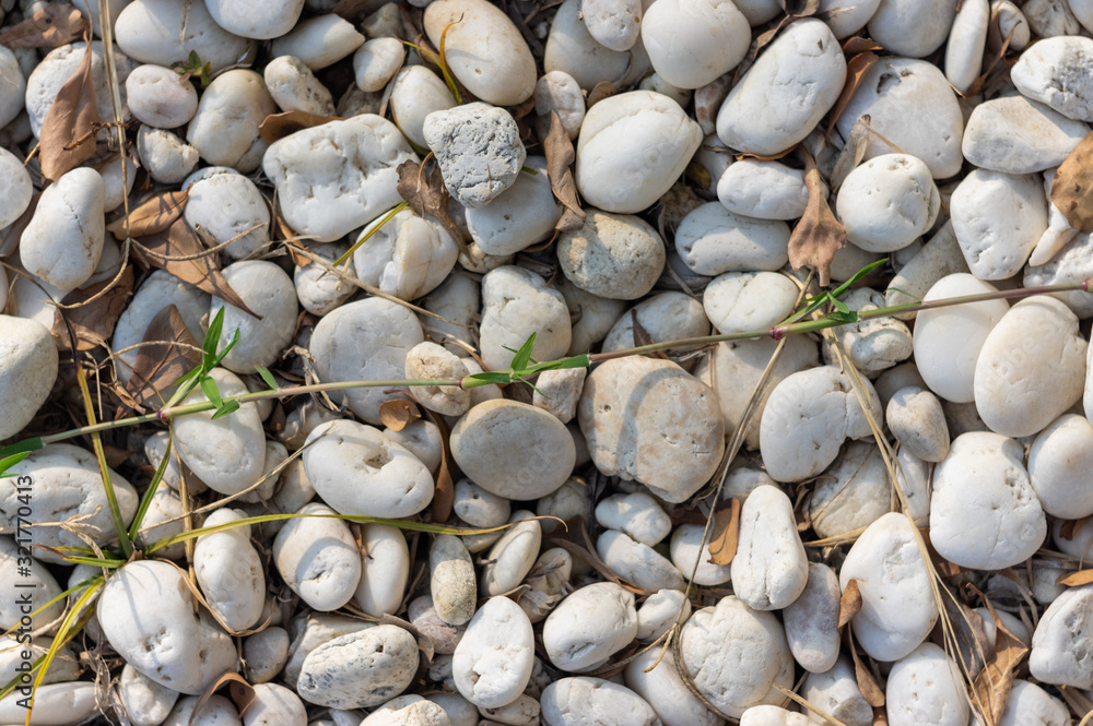 picture of pebbles with dry leaves and grass