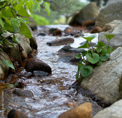 Fotografia, Obraz Closeup of small stream