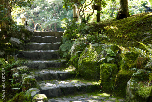 Moss covered stairs in brightly lit garden photo