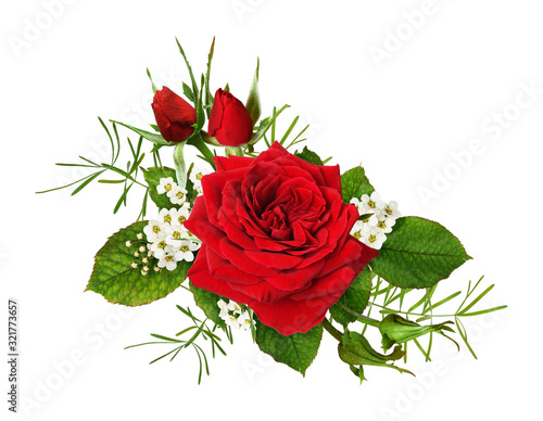 Red rose flower and green l...
