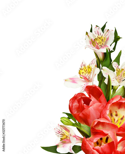 Red tulips in a floral spri...