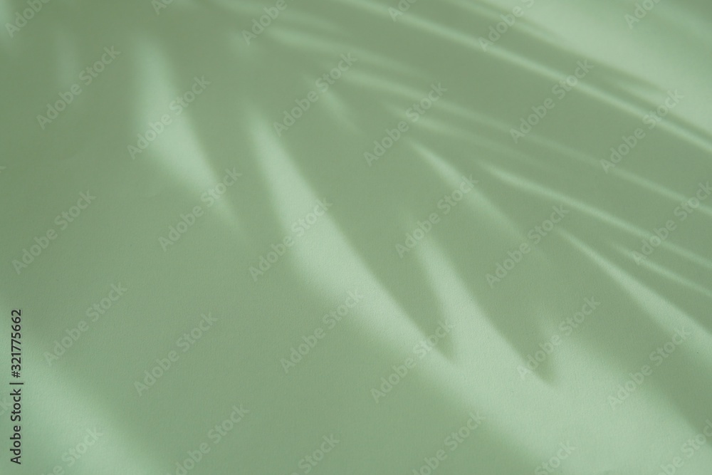 Obraz premium Tropical palm tree and leaves shadow on green background, summer, vacation, nature.