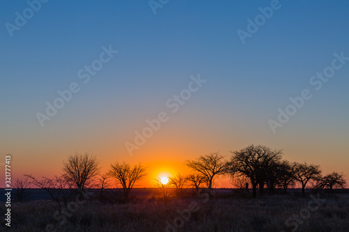 Steppe © Sascha