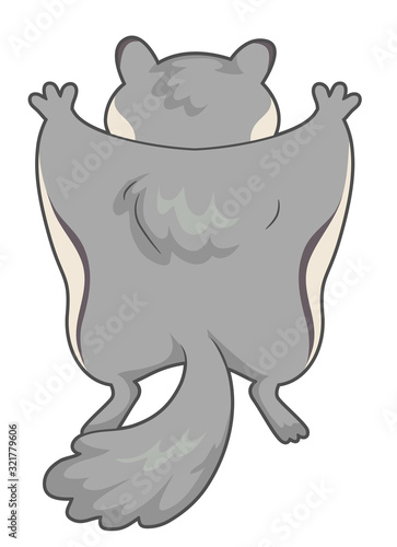 Flying Squirrel Back View I...