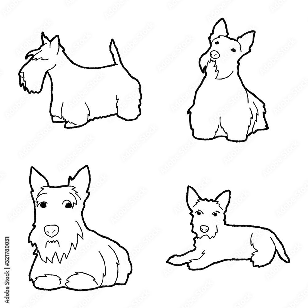 Scottish Terrier Animal Vector Illustration Hand Drawn Cartoon Art