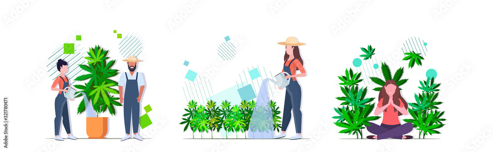 set farmers watering cannabis girl enjoying narcotic effect industrial hemp plantation growing marijuana plant drug consumption concepts collection horizontal vector illustration set farmers watering cannabis girl enjoying narcotic effect industrial hemp plantation growing marijuana plant drug consumption concepts collection horizontal vector illustration