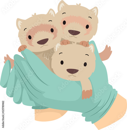 Hand Gloves Baby Ferrets Sa...