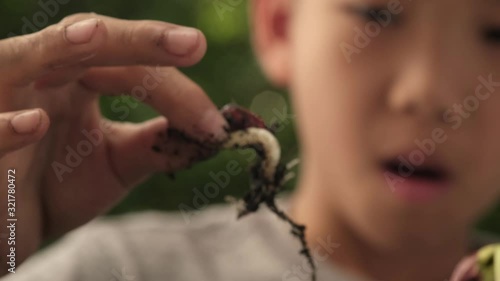 4k close up slolw motion little bean seedling in young Asian boy