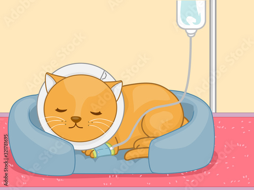 Cat Pet Dextrose Sick Illustration