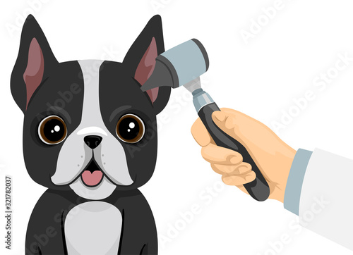 Dog Ear Check Up Illustration