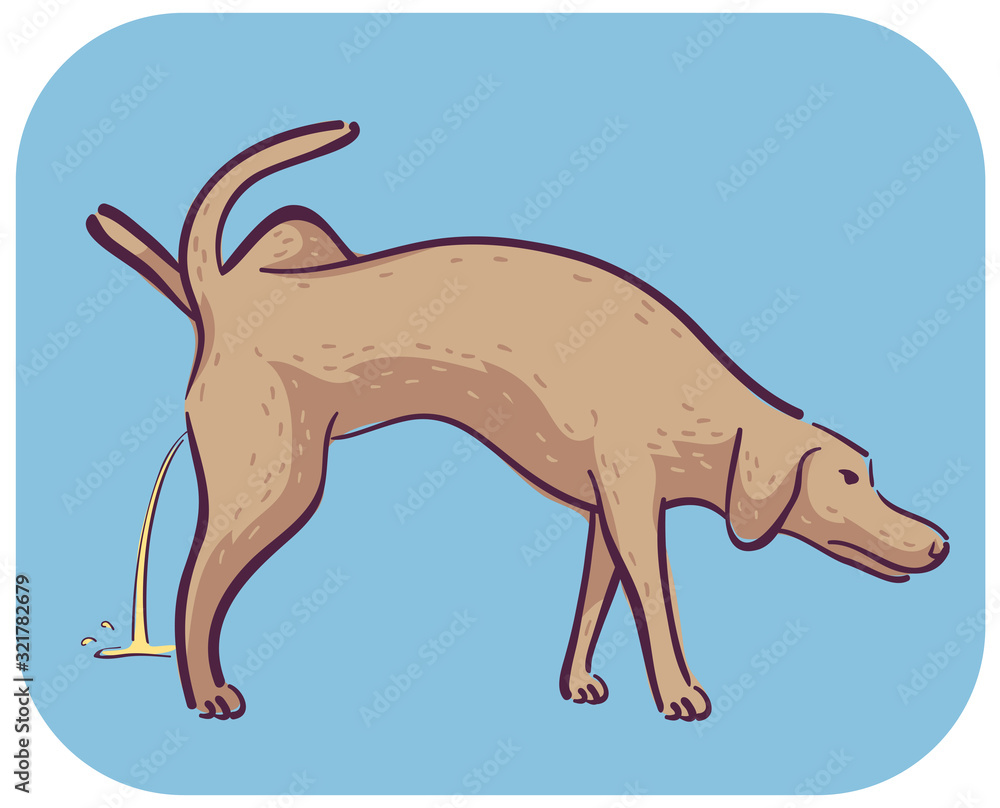 Fototapeta premium Dog Symptom Excessive Peeing Illustration