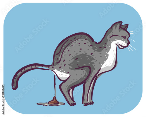 Cat Symptom Watery Diarrhea Illustration