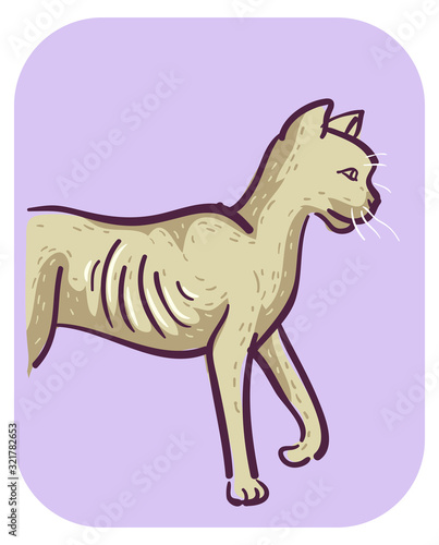 Cat Symptom Weight Loss Illustration