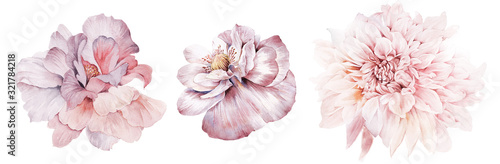 Canvas-taulu Flowers watercolor illustration
