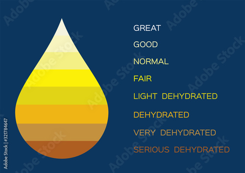 urine color vector / transparent yellow orange color