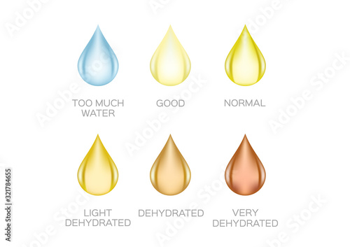 urine color vector / transparent yellow orange color